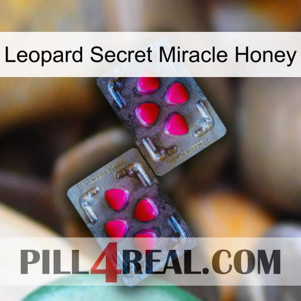 Leopard Secret Miracle Honey 15.jpg